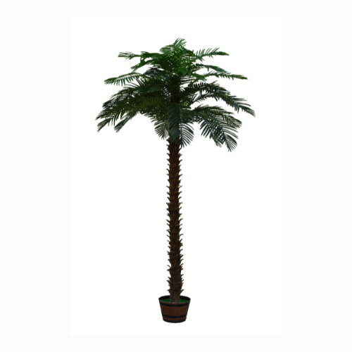 Artificial Plant for Indoor & Outdoor Decoration | Height 5 Meter