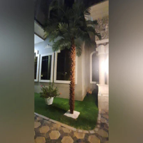 Artificial Plant for Indoor & Outdoor Decoration | Height 5 Meter
