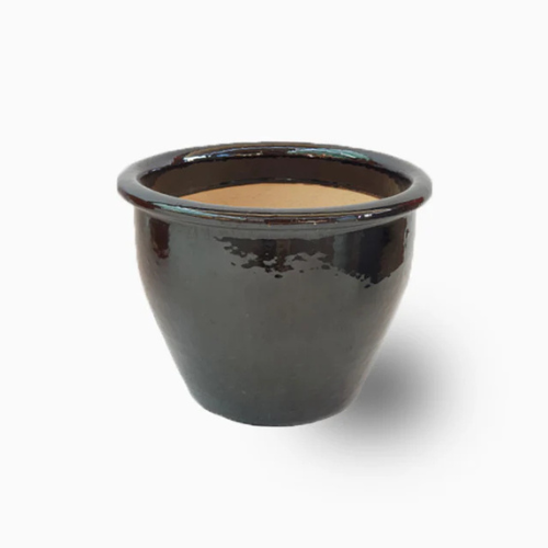 Black Rolled Rim Pots – Royal Plantscape Garden