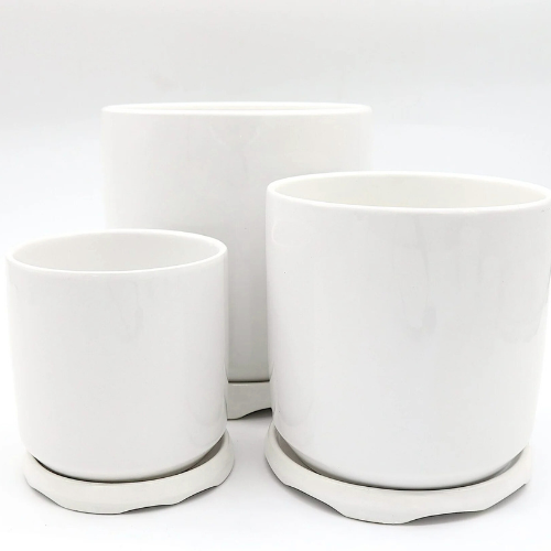 Indoor White Ceramic Pots with Attached Saucer