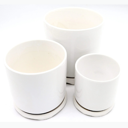 Indoor White Ceramic Pots with Attached Saucer