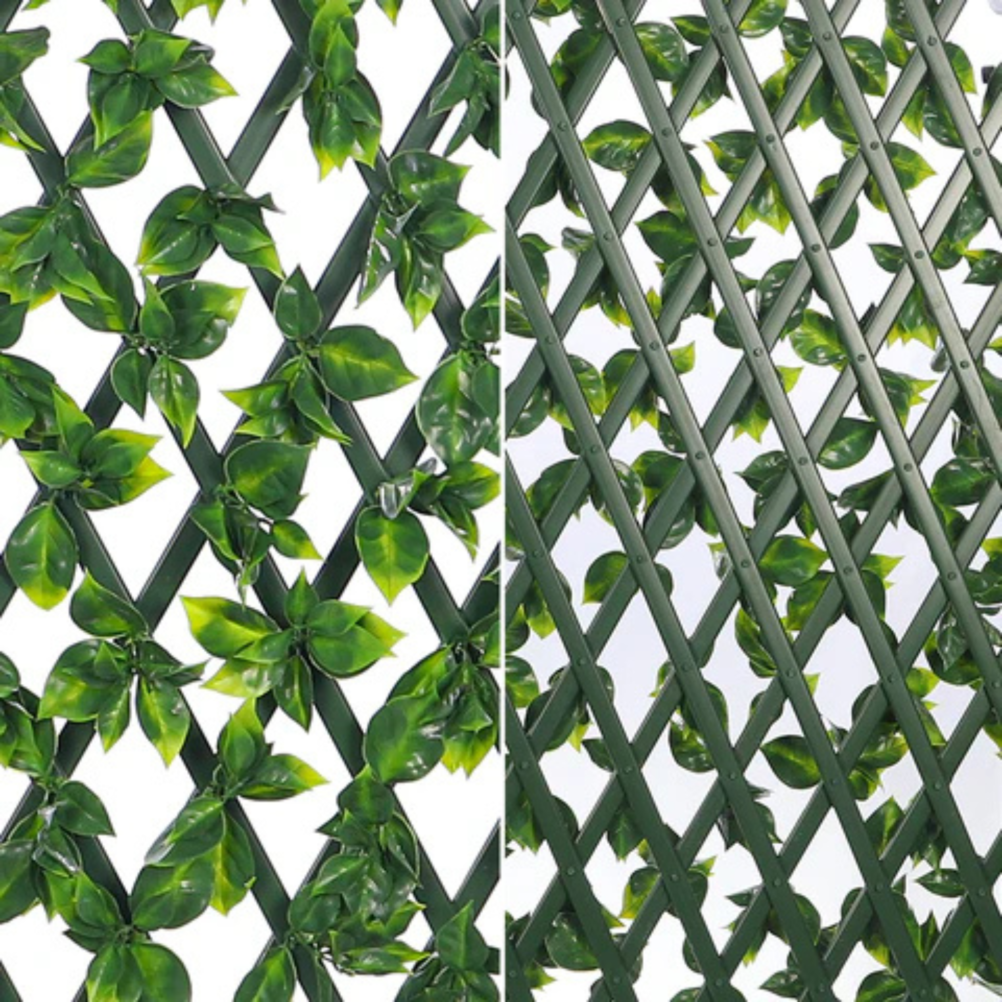 Expandable Garden Decorative Fence