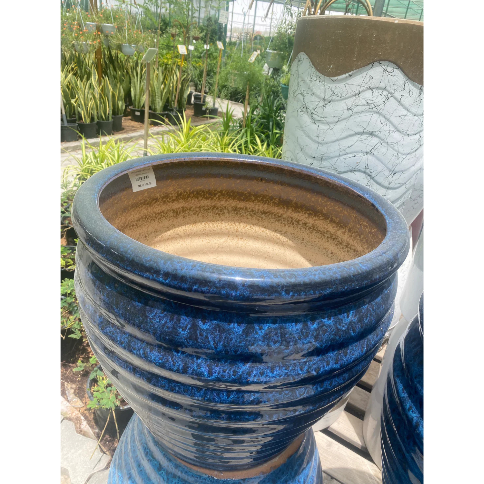 Stylish Ceramic Plant Pots