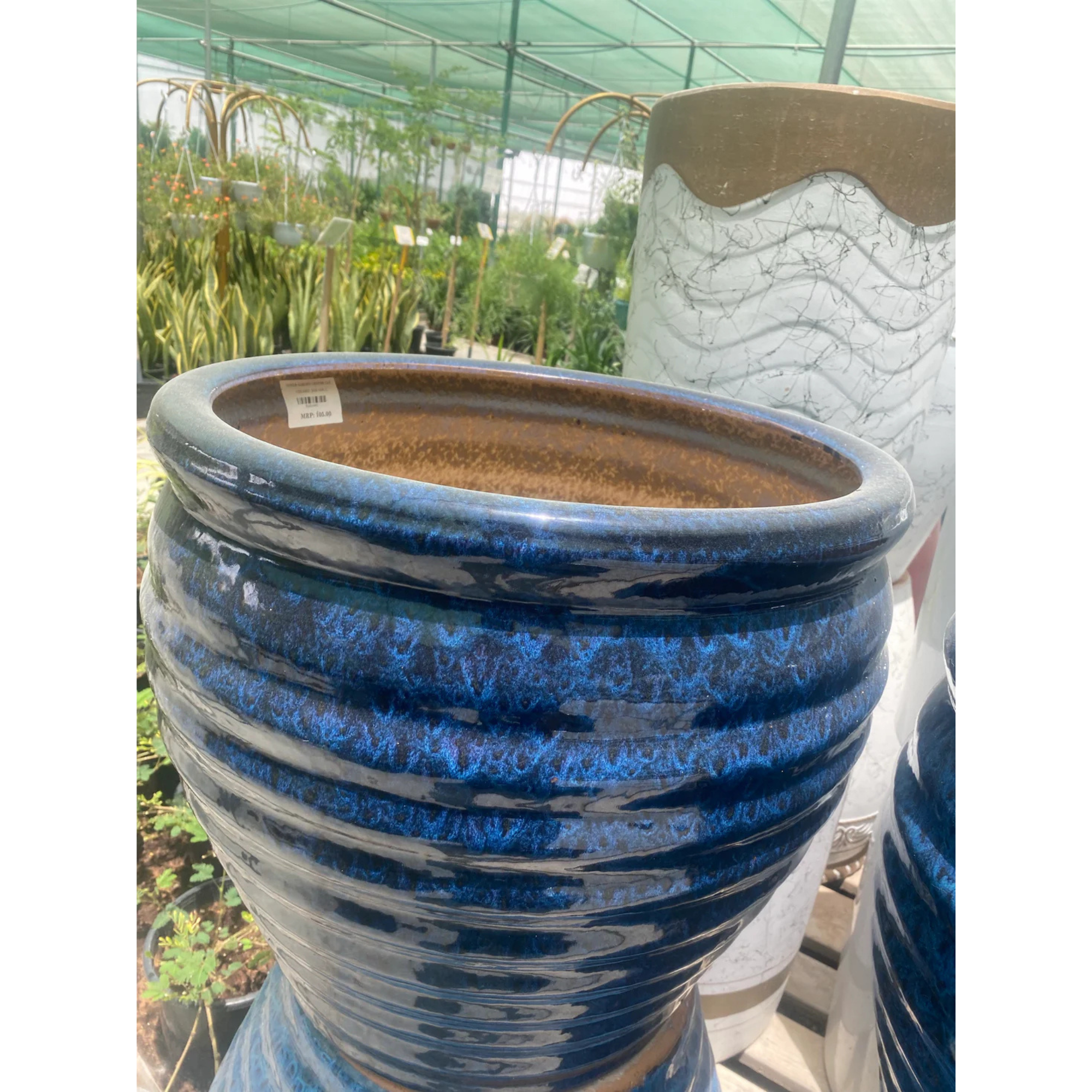 Stylish Ceramic Plant Pots