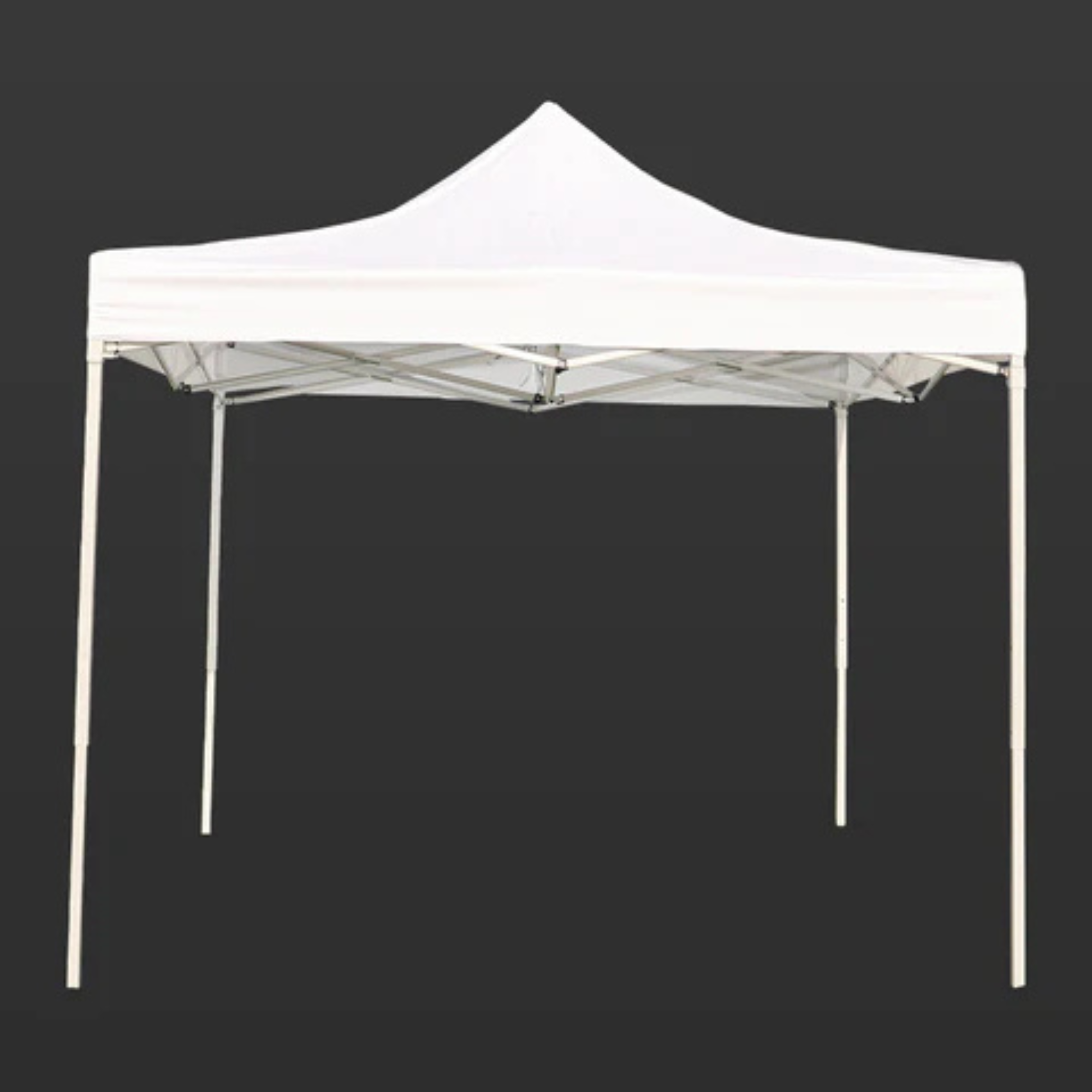 Outdoor Waterproof Foldable Tent