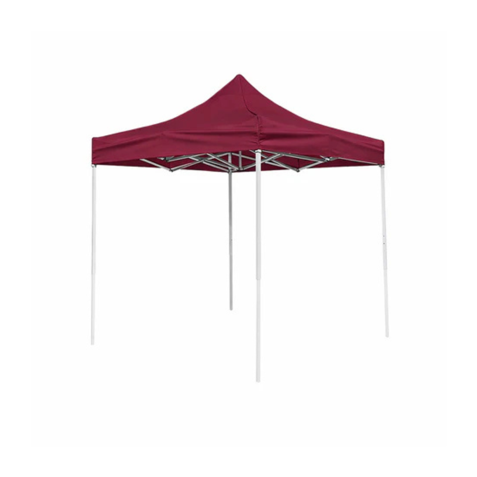Outdoor 2mx2m Portable Pop-Up Canopy Tent