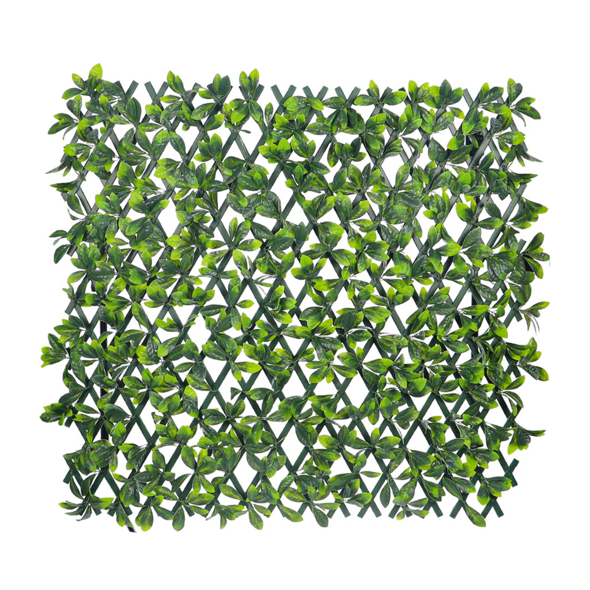 Expandable Garden Decorative Fence