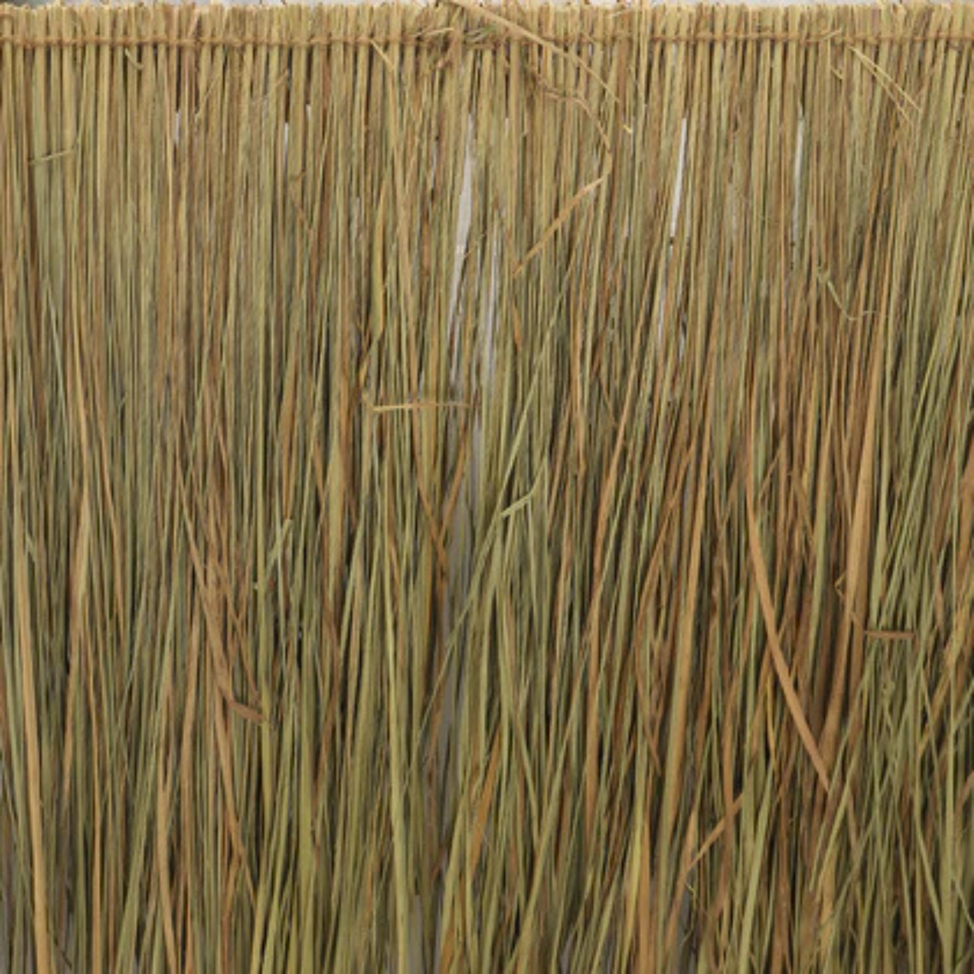 Natural Dried Brown Leaf
