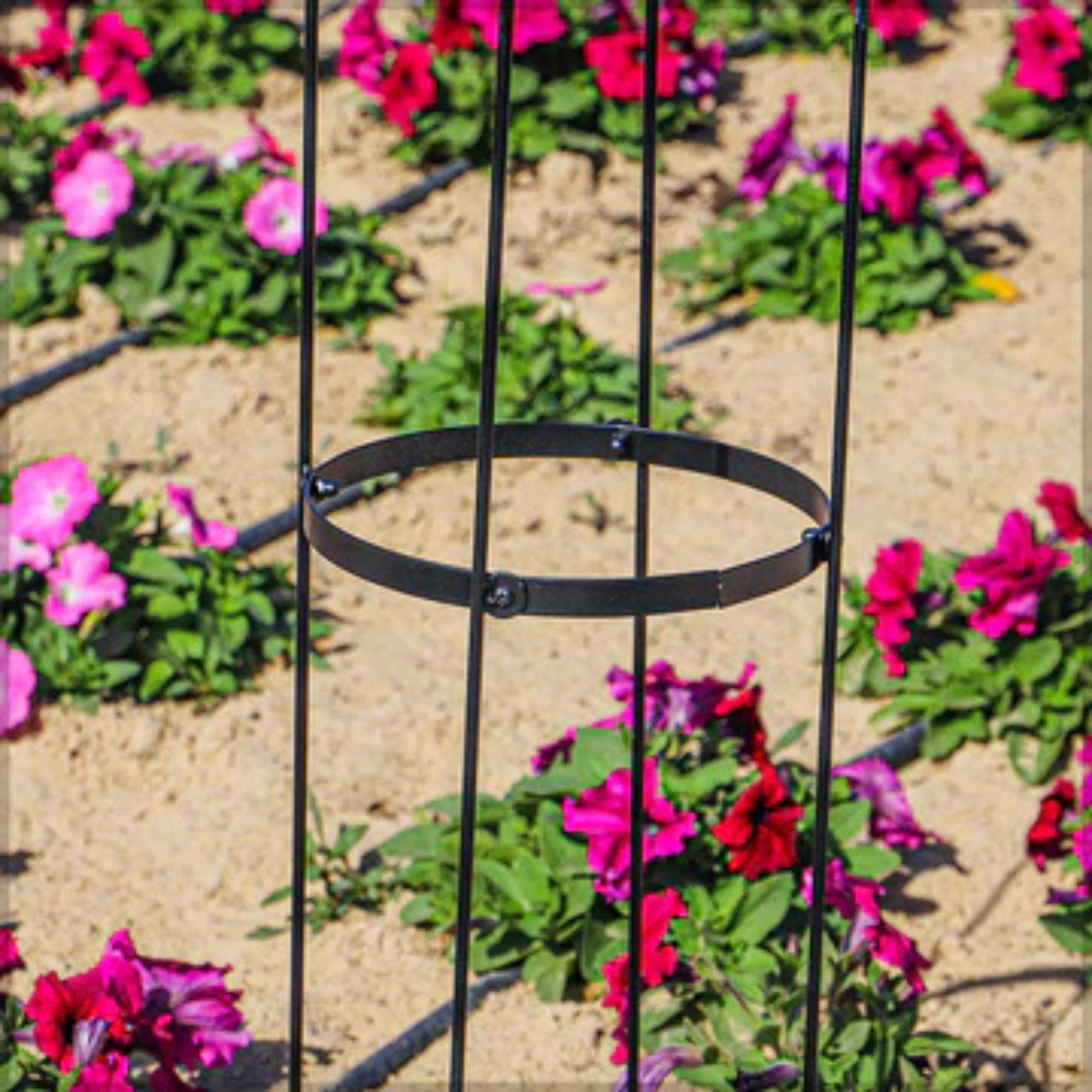1-Piece Garden Trellis Stand for Climbing Plants (Only) Stand)