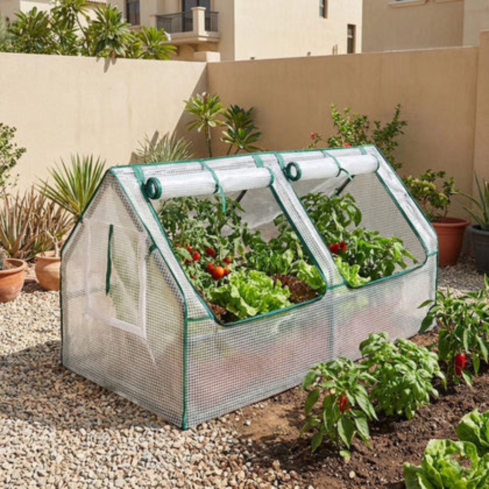 1-Piece Mini Garden Greenhouse