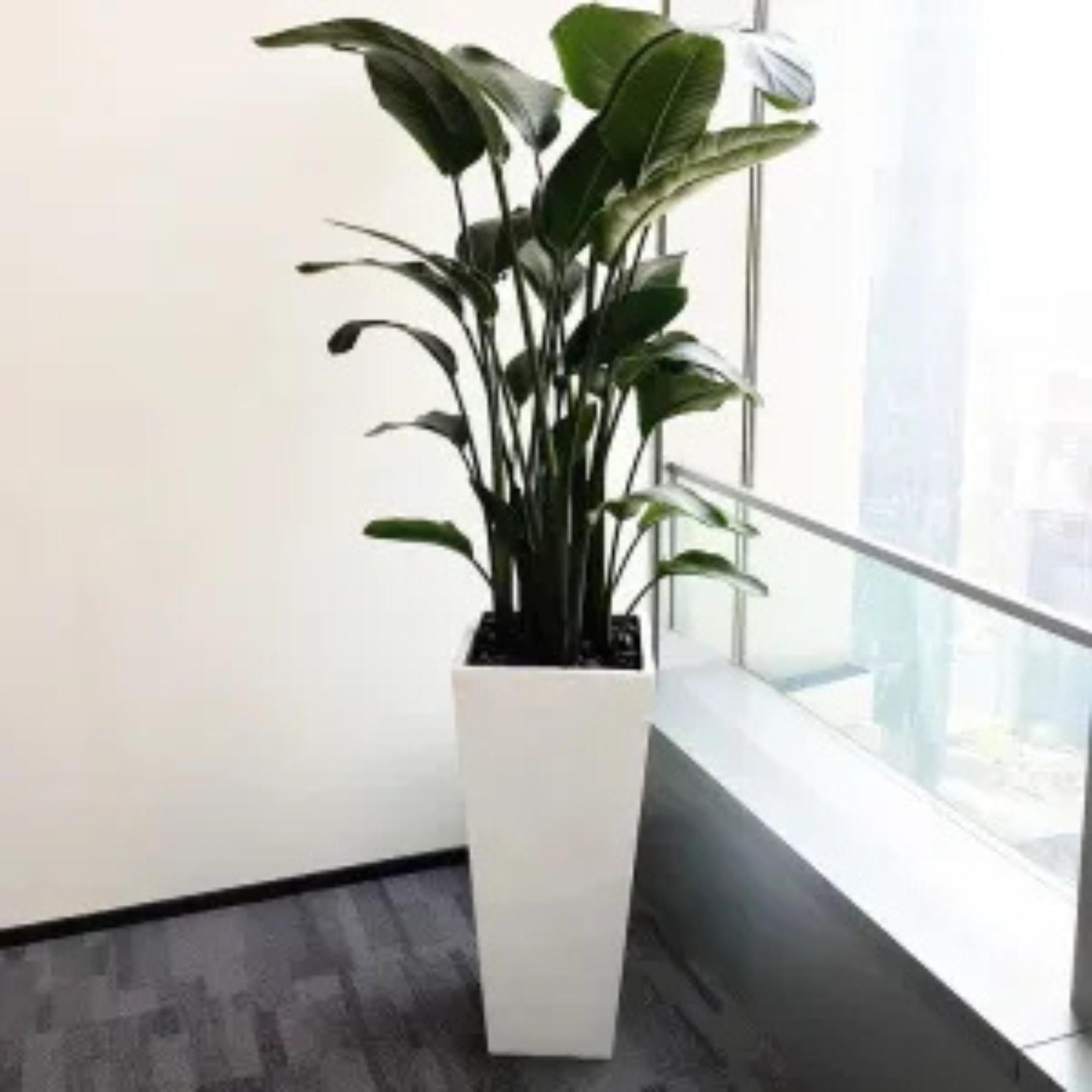 Indoor Outdoor Tall Fiber Clay Pots