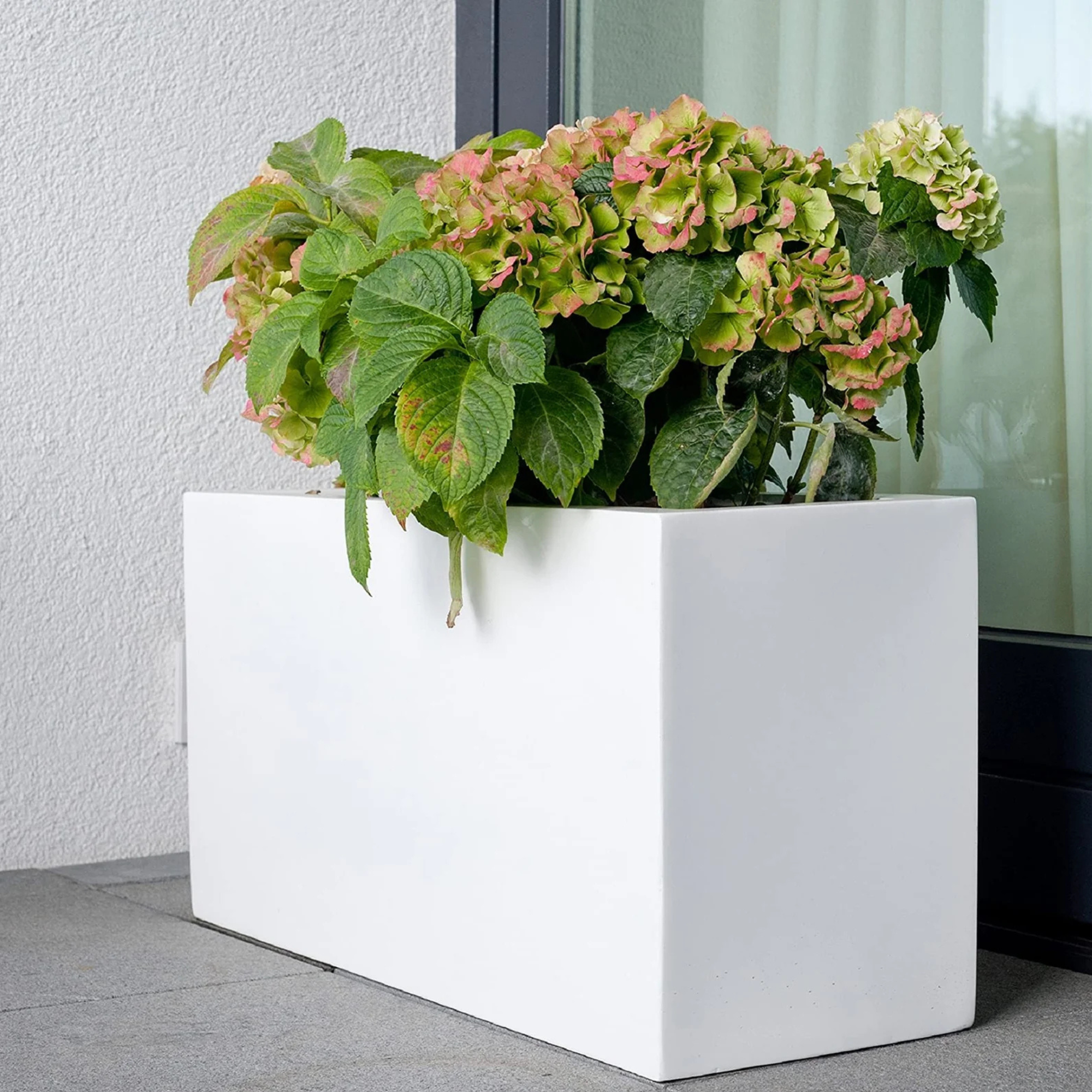 Rectangular Pot Front View Best Rectangular GRP Pots – Royal Plantscape Garden