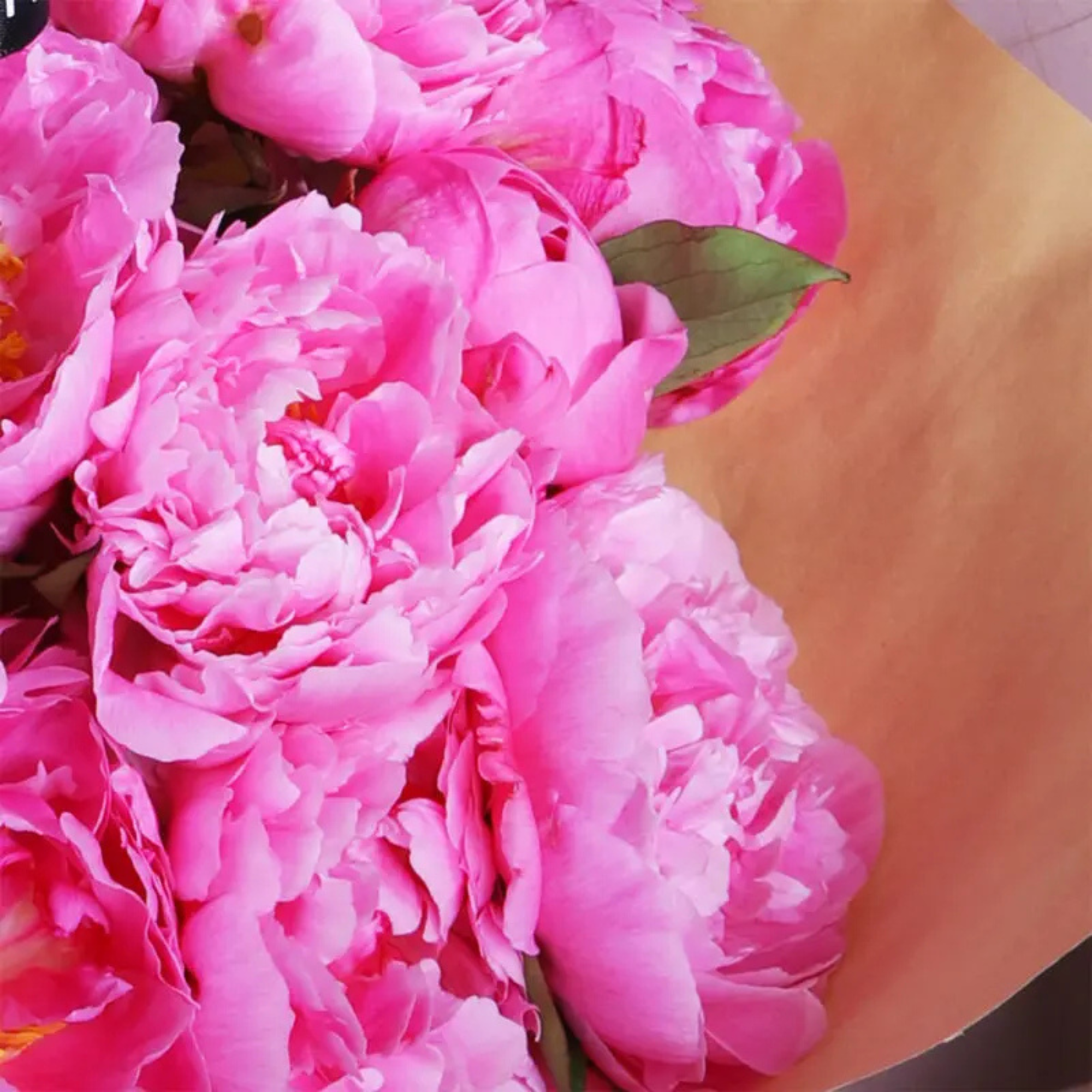 Romantic Peony Bouquet for My Love
