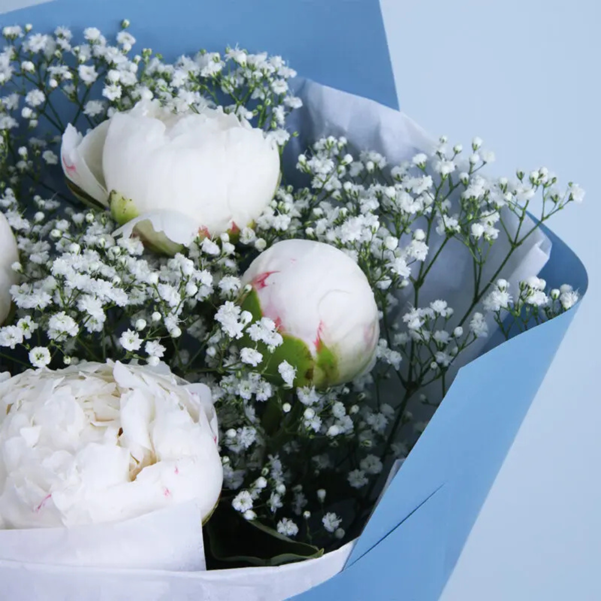 Modern Snow Bloom Peony Floral Decor