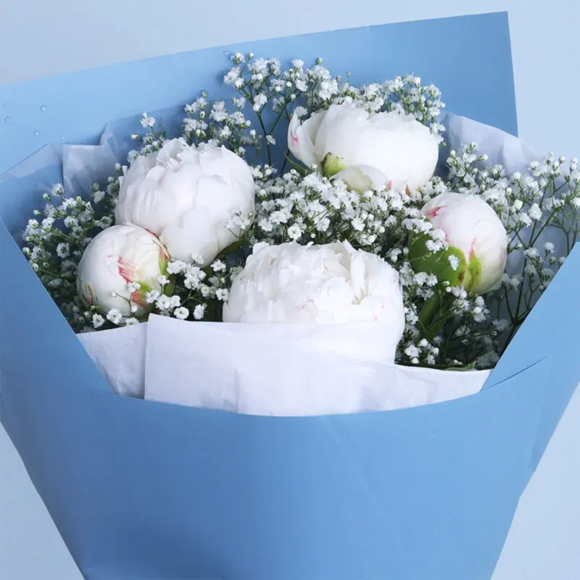 Modern Snow Bloom Peony Floral Decor