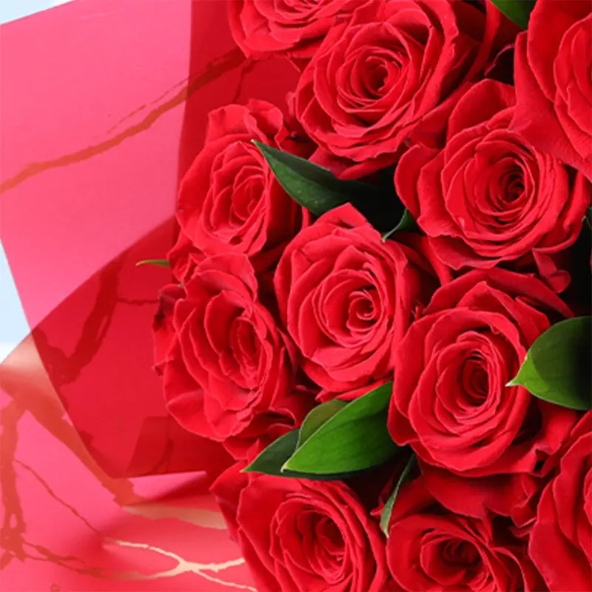 Premium Romantic Red Roses Flower Bouquet
