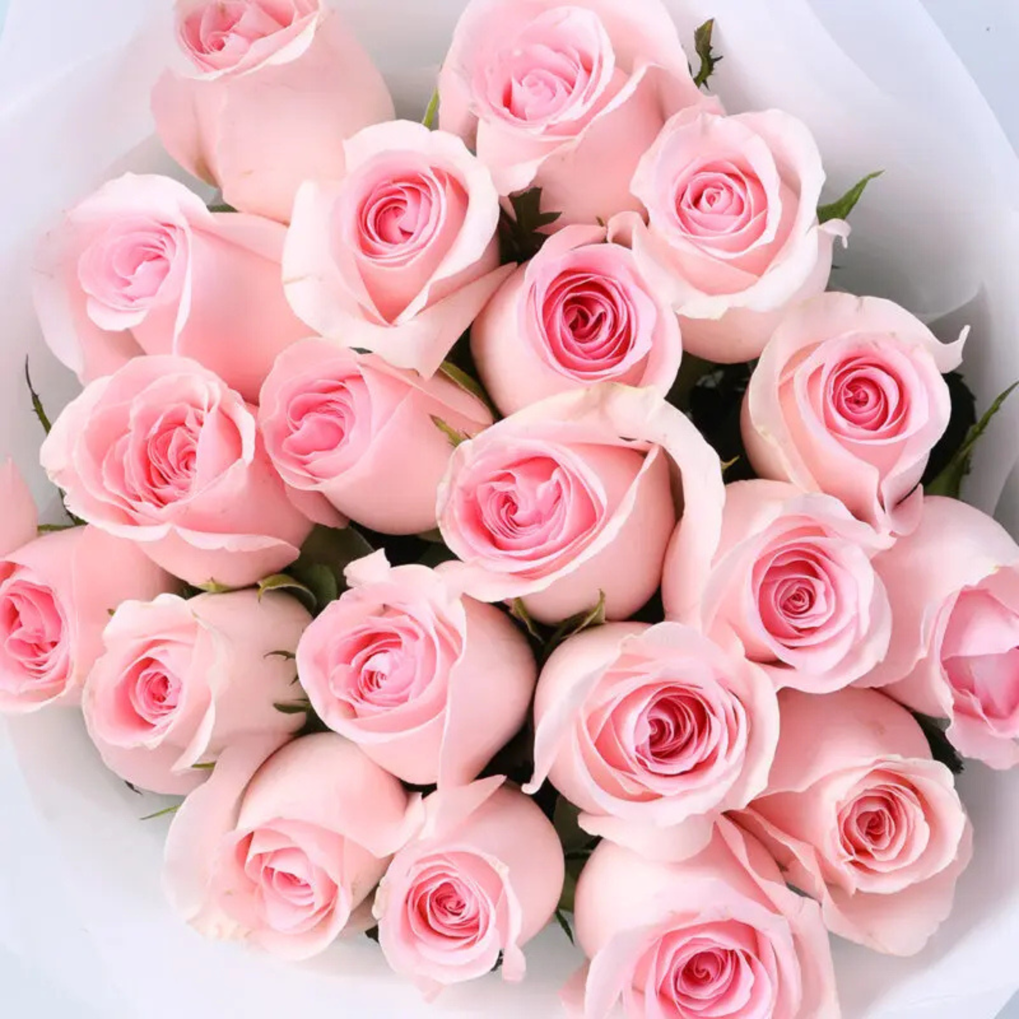 Romantic Blush Rose Flower Bouquet