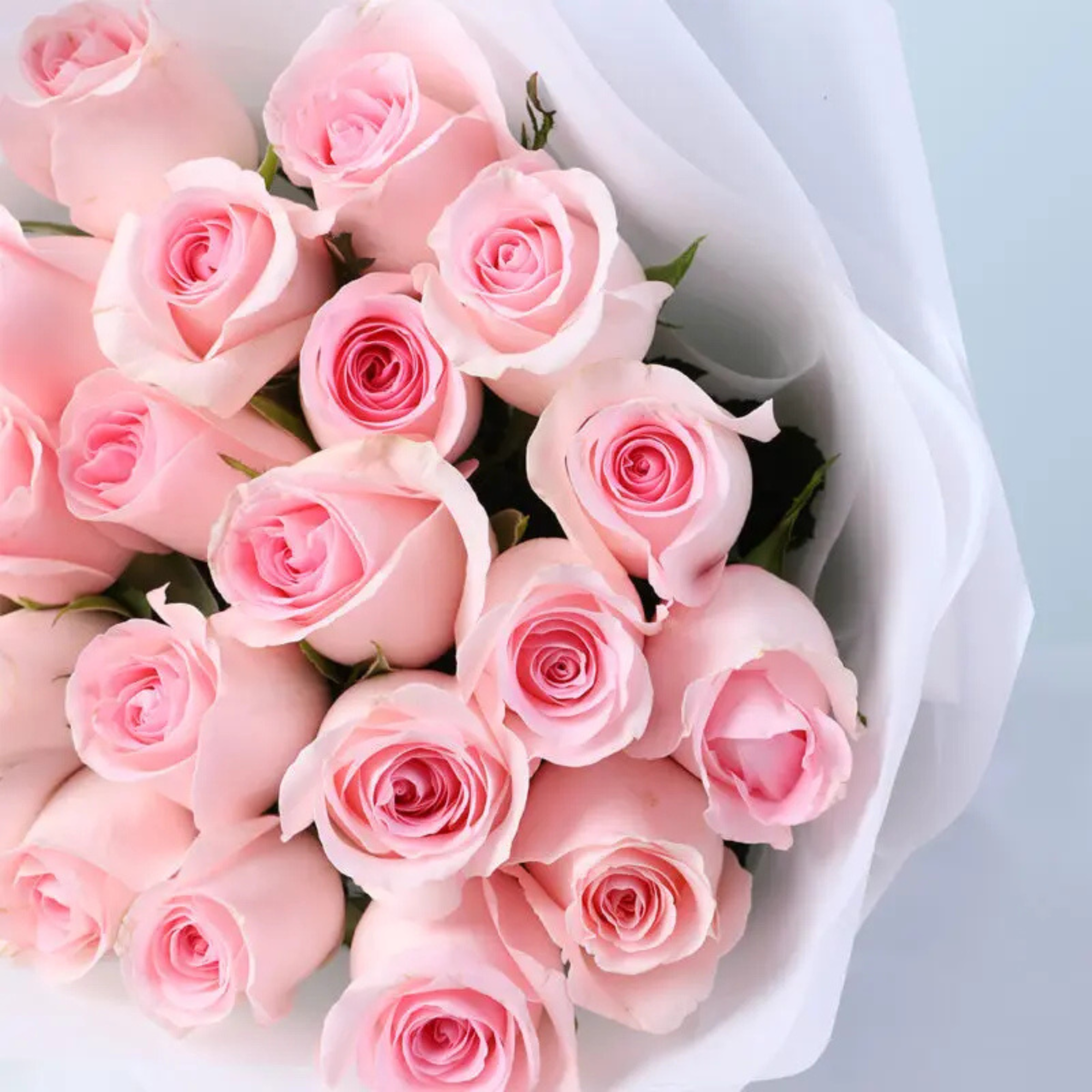 Romantic Blush Rose Flower Bouquet