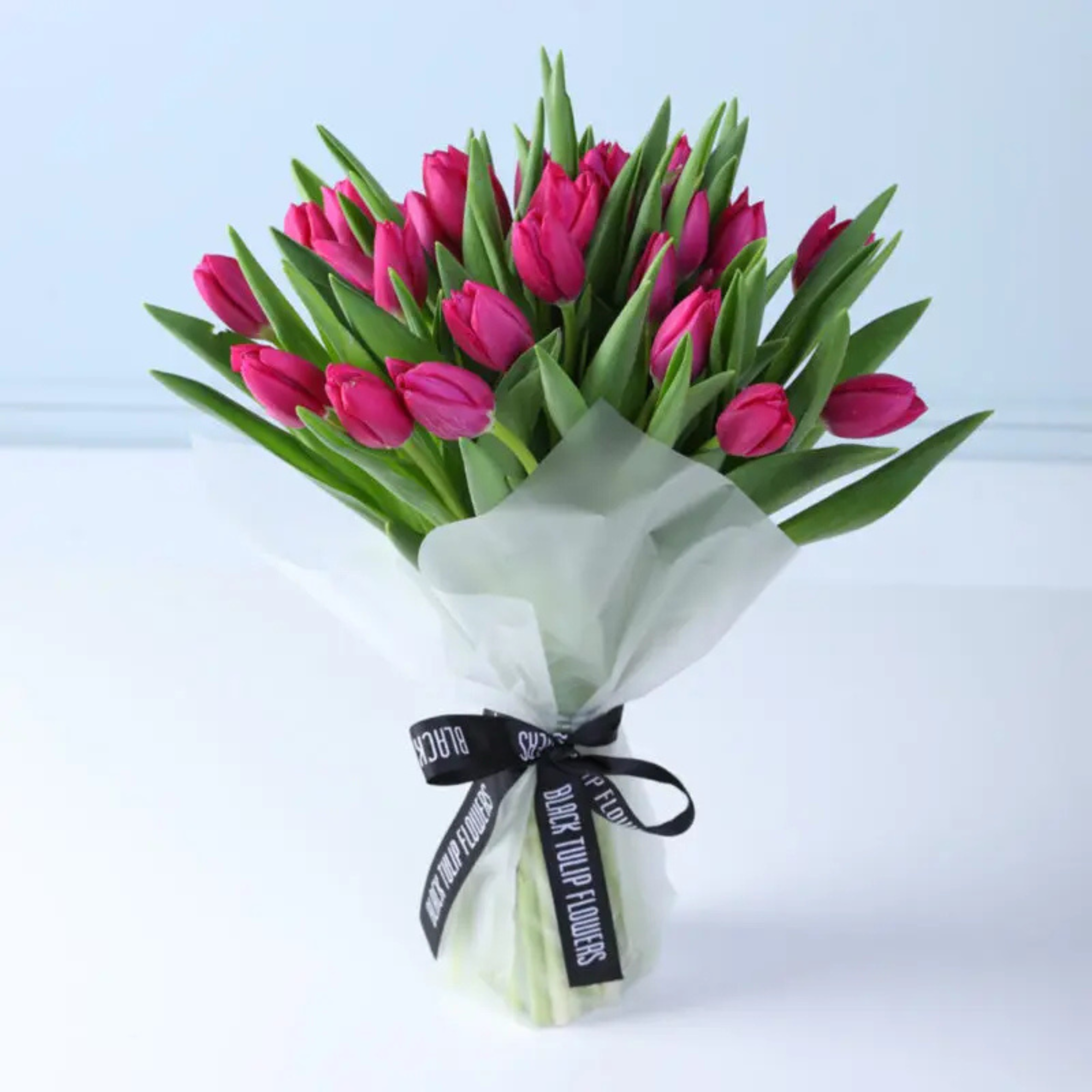Pink Radiance Artificial Tulip Collection