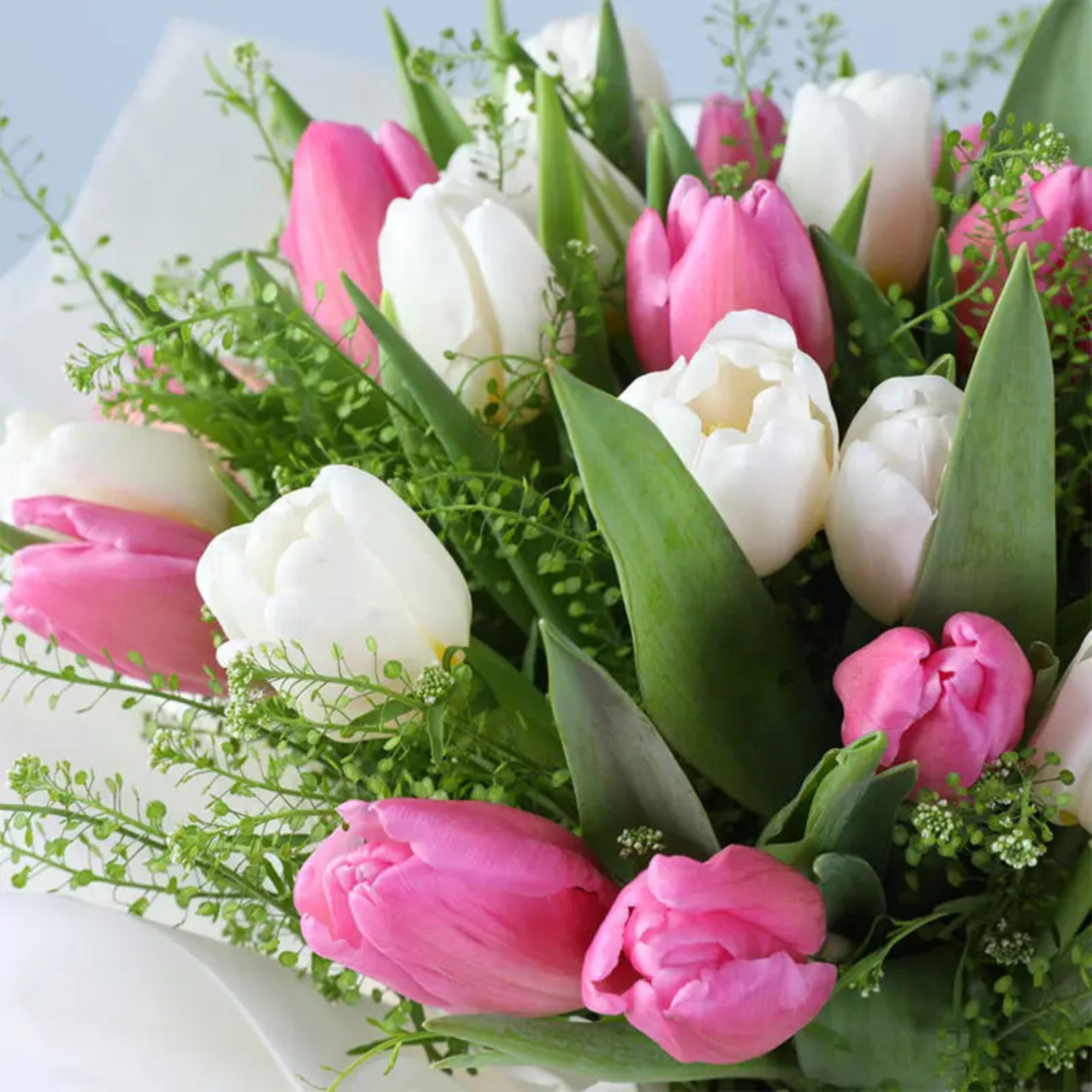 Luxury White & Pink Tulip Bouquet Box