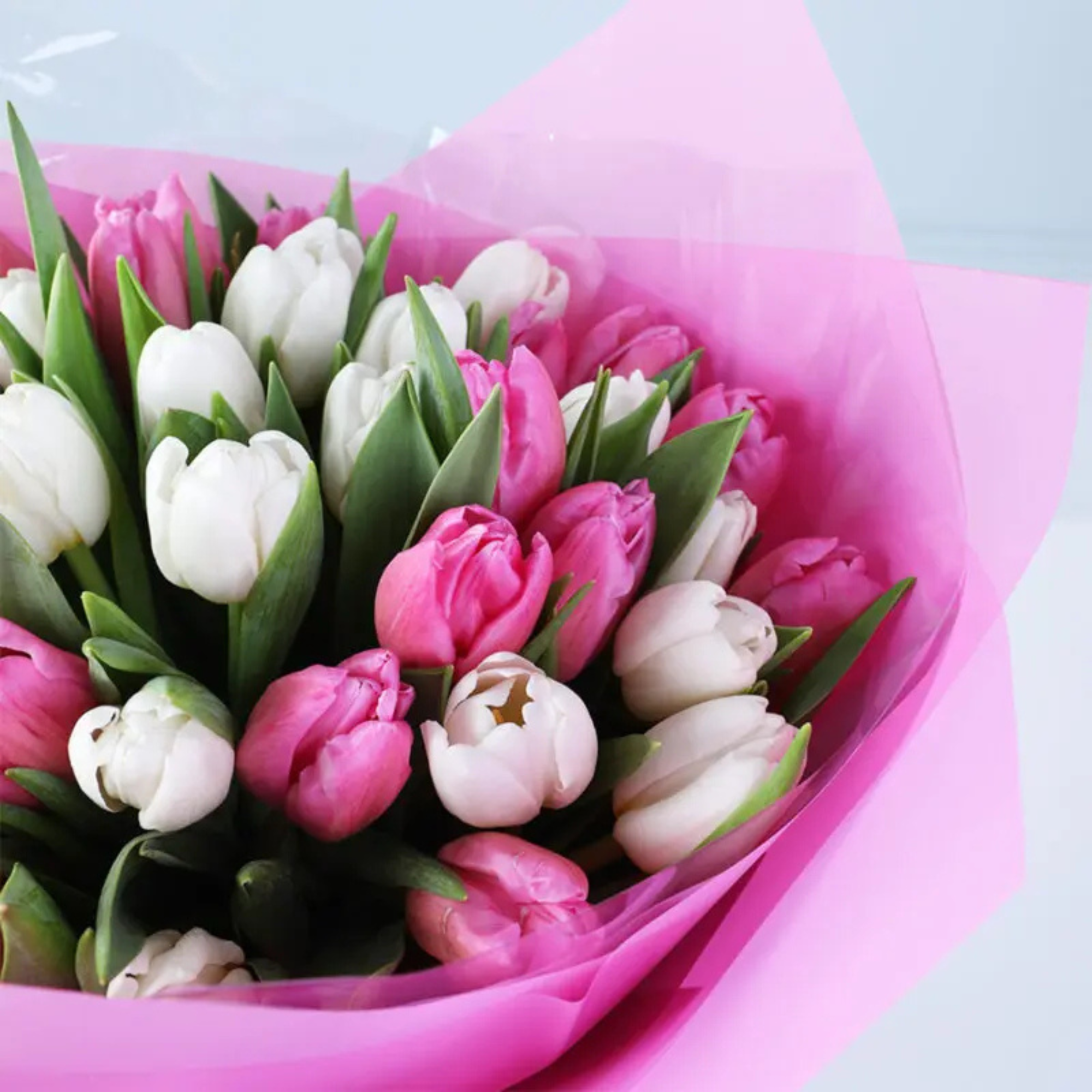 40 Pastel Melody Tulip Artificial Flowers