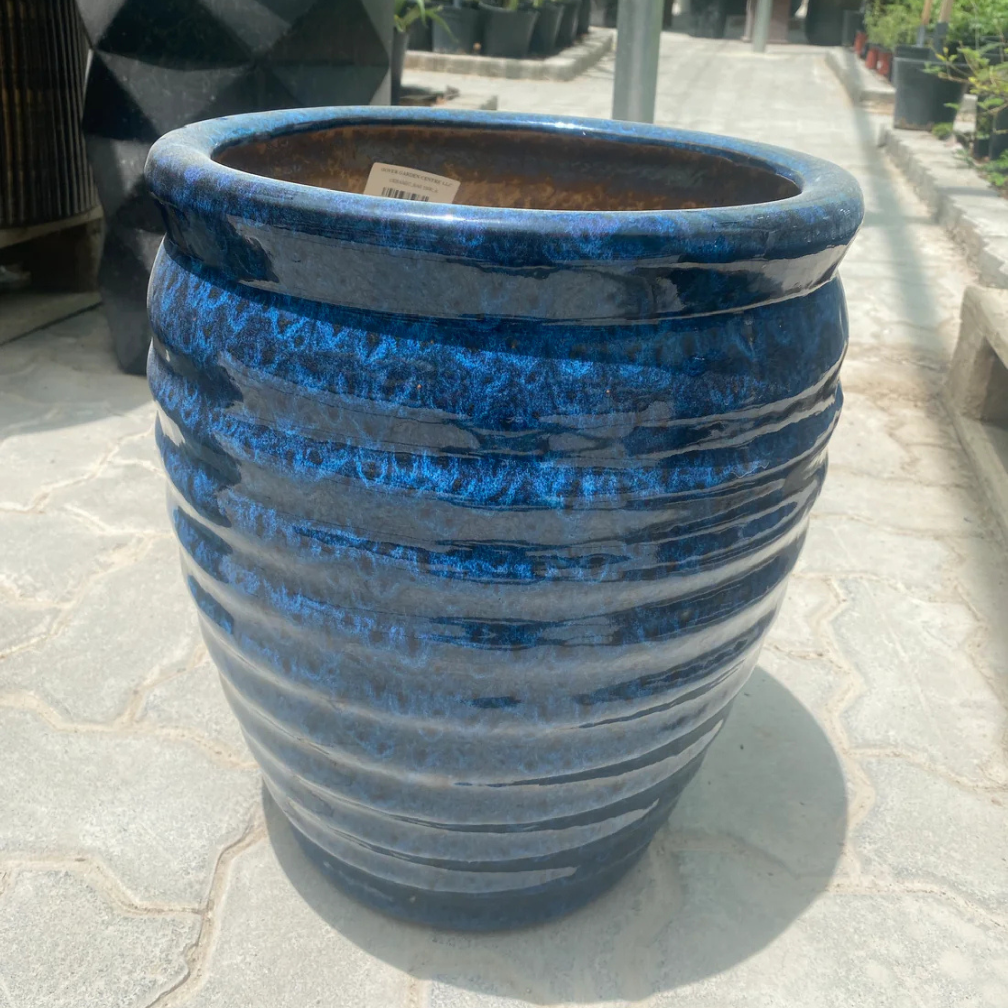 Stylish Ceramic Plant Pots