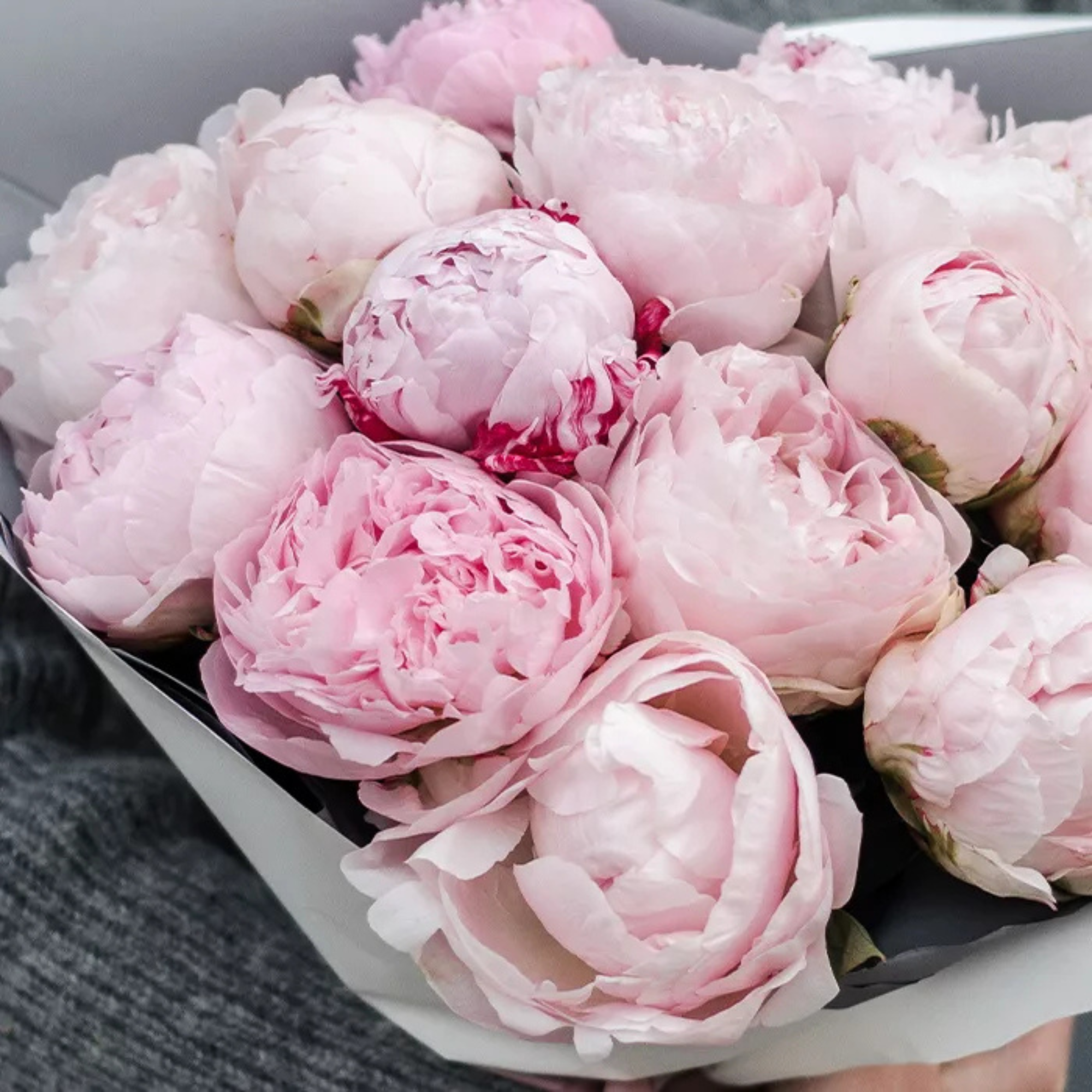 Beautiful Pink Peony Gift Bouquet