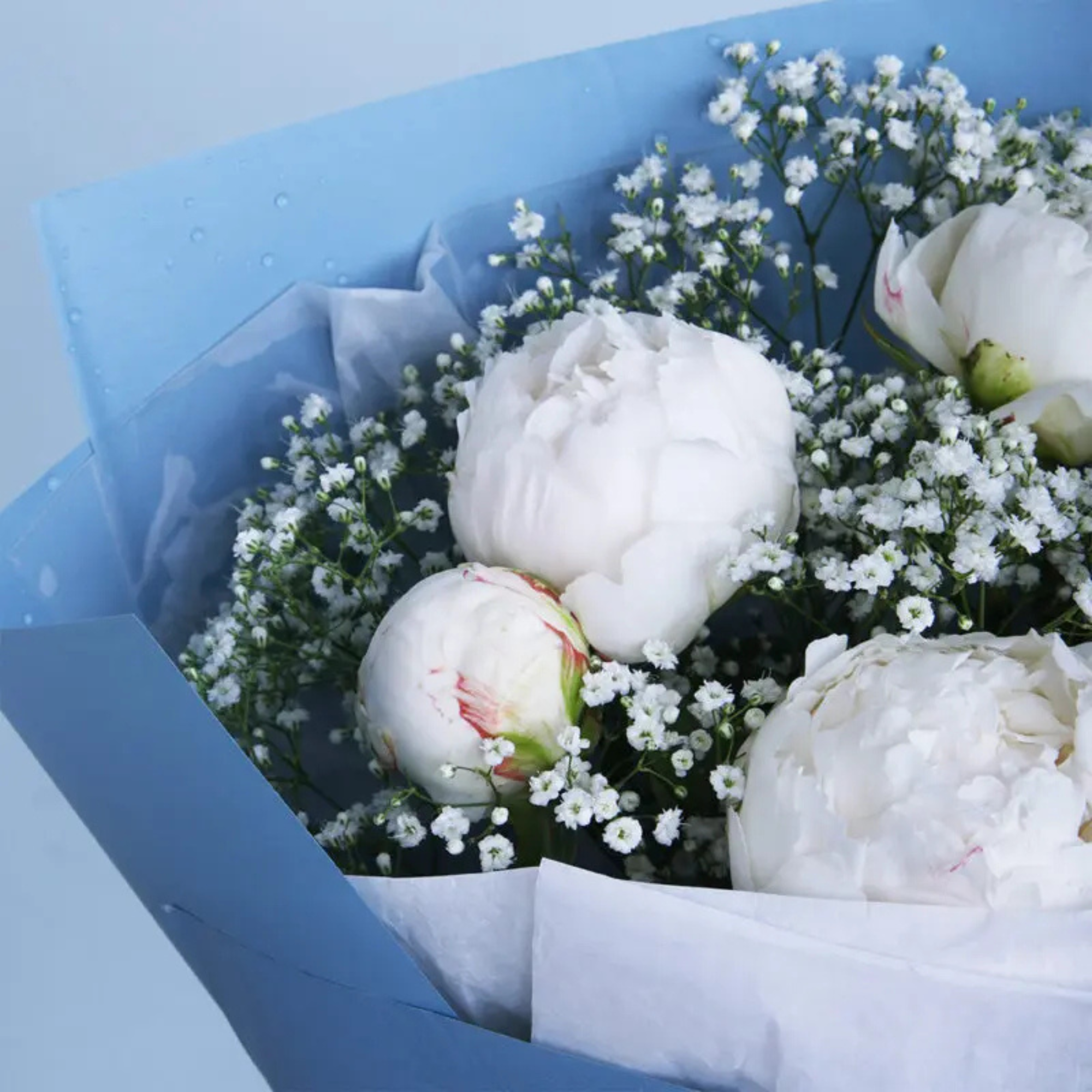 Modern Snow Bloom Peony Floral Decor